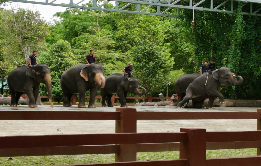 Sustainability and nature-based solutions